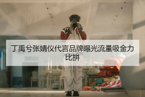 丁禹兮张婧仪代言品牌曝光流量吸金力比拼